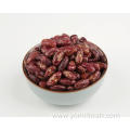 Kidney Beans For Baby